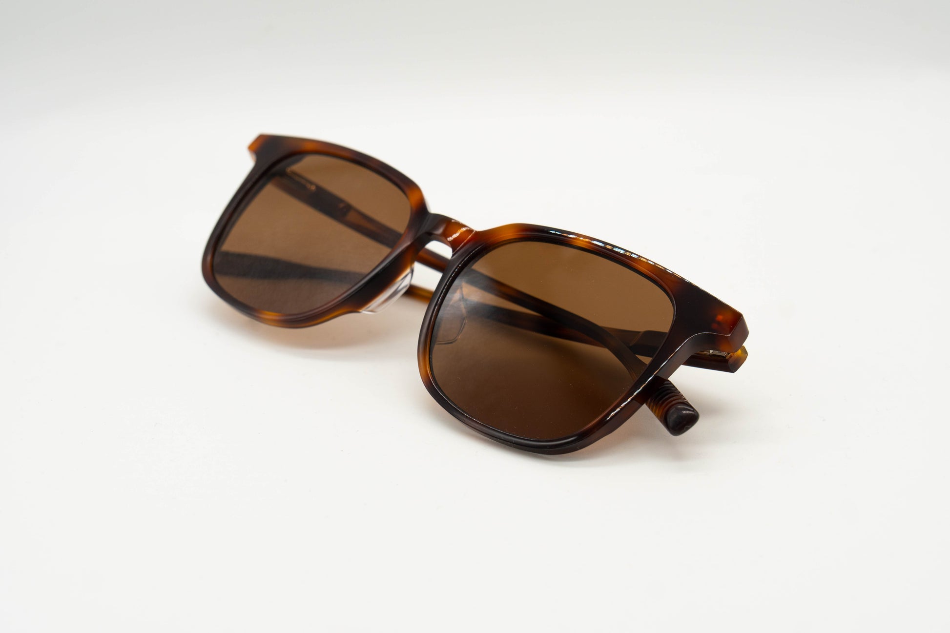 Paxton sunglasses in tortoiseshell on a white background