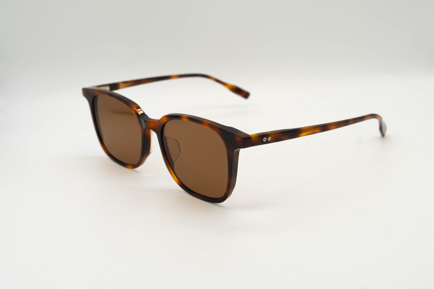 Paxton sunglasses in tortoiseshell on a white background