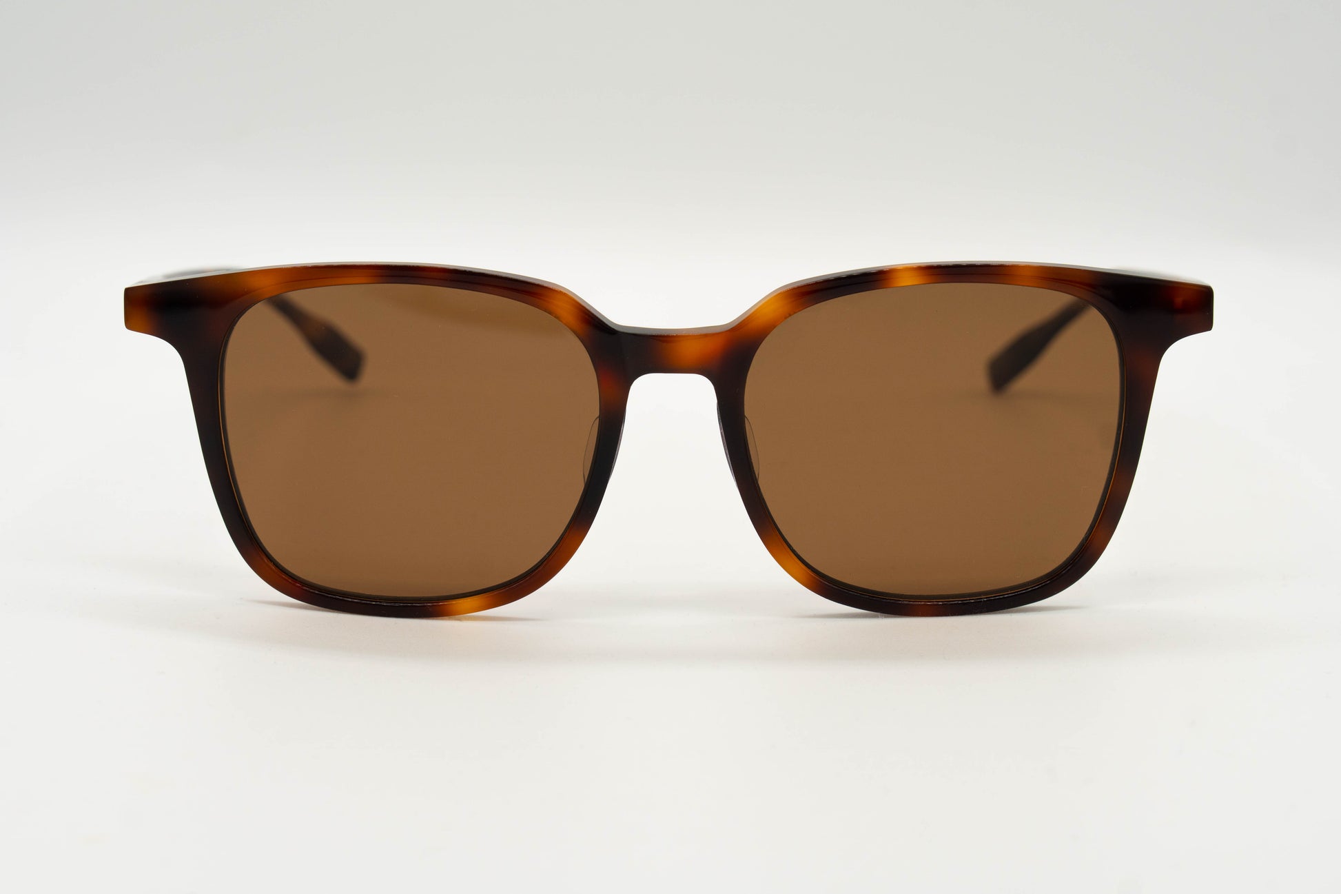 Paxton sunglasses in tortoiseshell on a white background